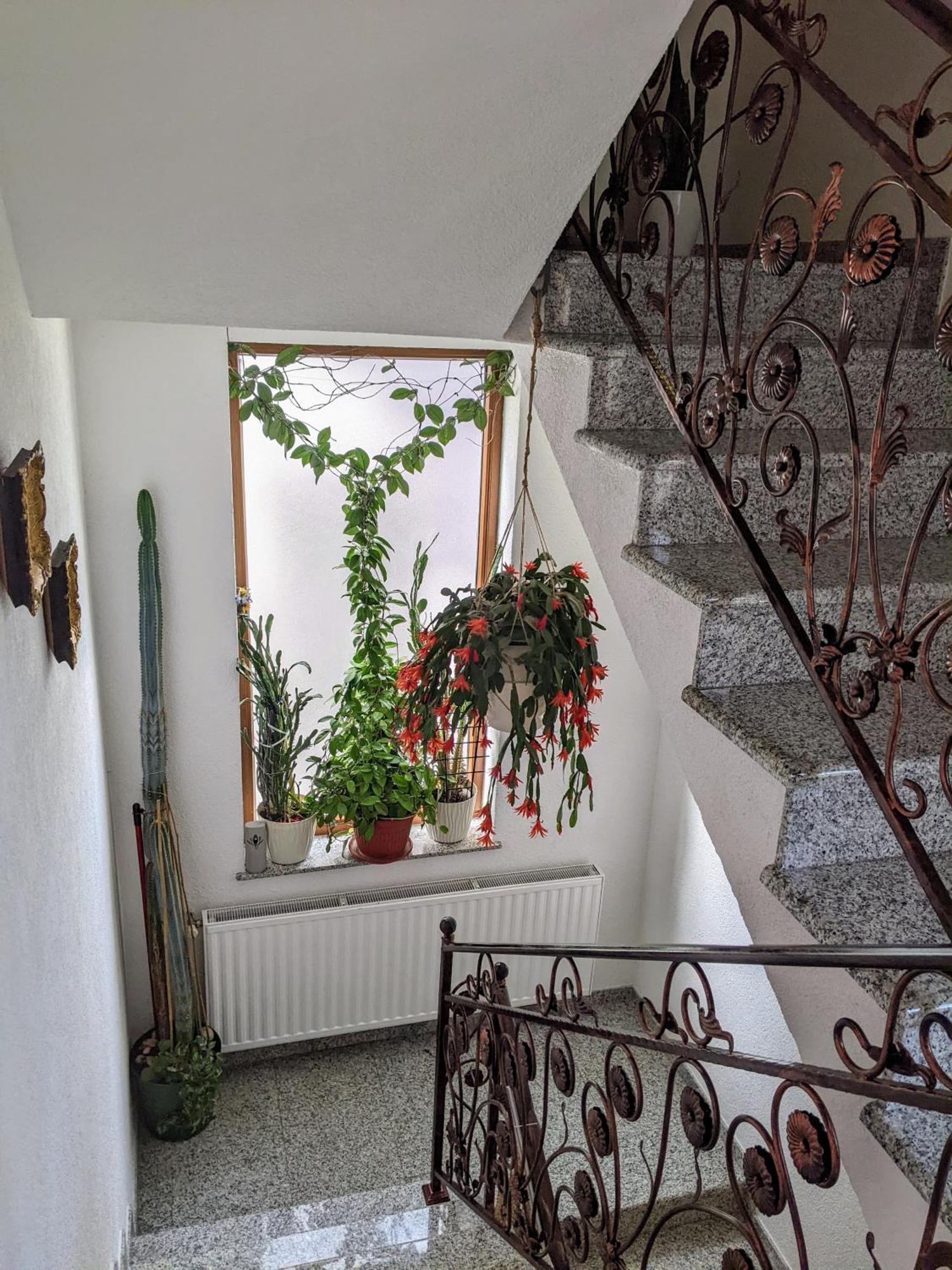 Apartmani Hrastik Bihać Zewnętrze zdjęcie
