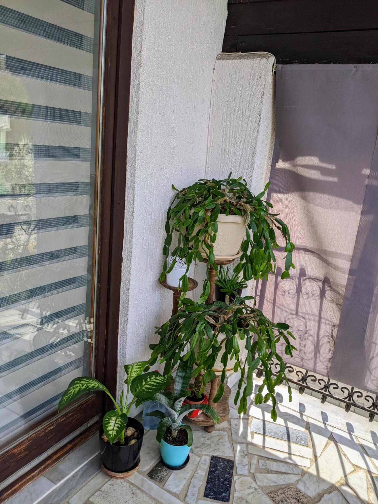Apartmani Hrastik Bihać Pokój zdjęcie